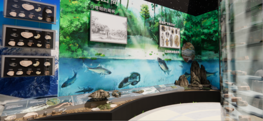 青藏高原綜合科學(xué)考察與研究古生物展廳 在拉薩之巔，探尋生命演化的史詩(shī)