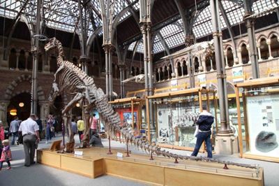 吳國(guó)盛視角下的牛津大學(xué)自然博物館 作為自然科學(xué)研究中心的歷史與啟示